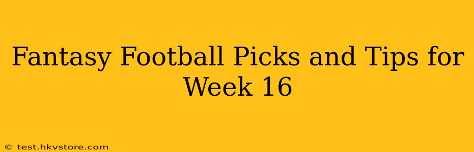 Fantasy Football Picks and Tips for Week 16